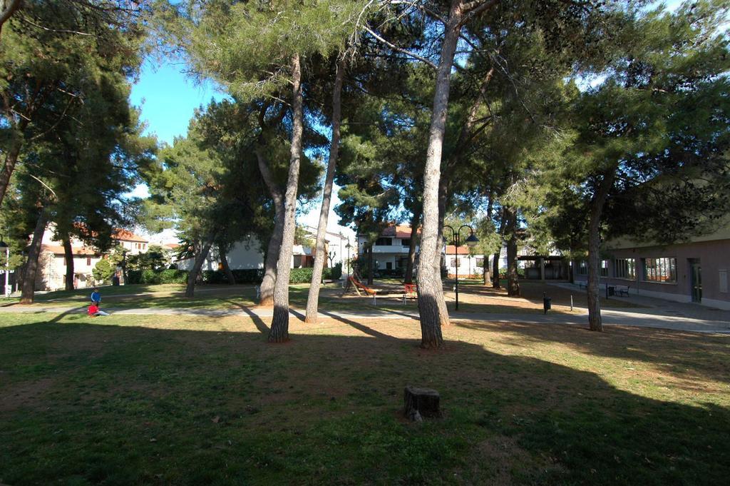 Faber Apartments Novigrad Istria الغرفة الصورة