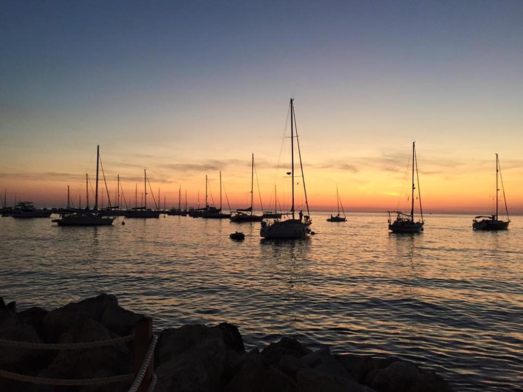 Faber Apartments Novigrad Istria الغرفة الصورة
